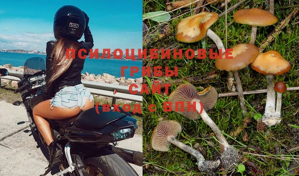 2c-b Балабаново