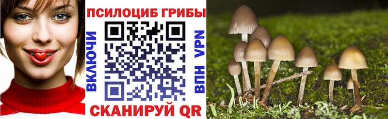 где найти   гидра ссылки  Псилоцибиновые грибы Psilocybe  Вязьма 